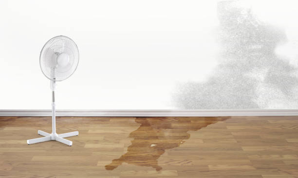Best Residential water damage restoration  in Brooklet, GA