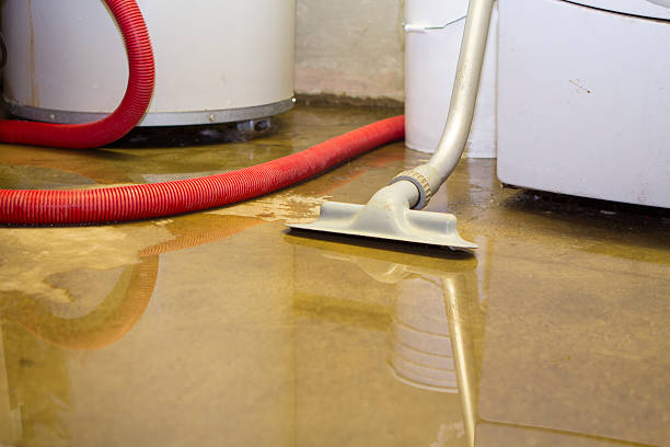 Best Emergency water damage restoration  in Brooklet, GA